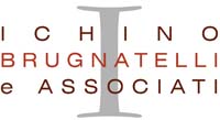 Ichino Brugnatelli e Associati company logo