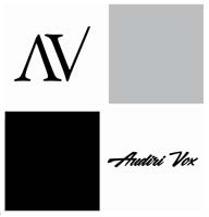 Audiri Vox company logo