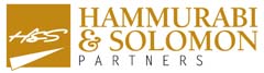 Hammurabi & Solomon Partners company logo