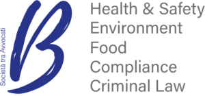 B - Health, Safety & Environment logo