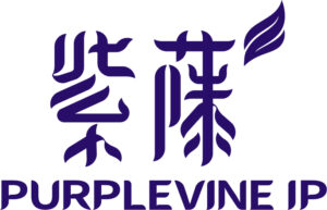 Purplevine IP Group company logo