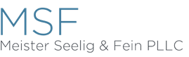 Meister Seelig & Fein PLLC company logo