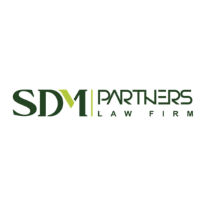 SDM Partners LLC logo