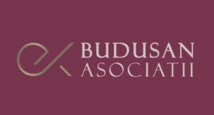 Budusan & Asociatii SPARL logo