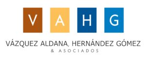 Vázquez Aldana, Hernández Gómez & Asociados company logo