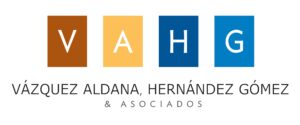 Vazquez Aldana Hernandez Gomez Asociados company logo