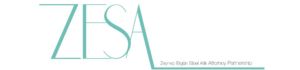 ZESA Attorney Partnership company logo